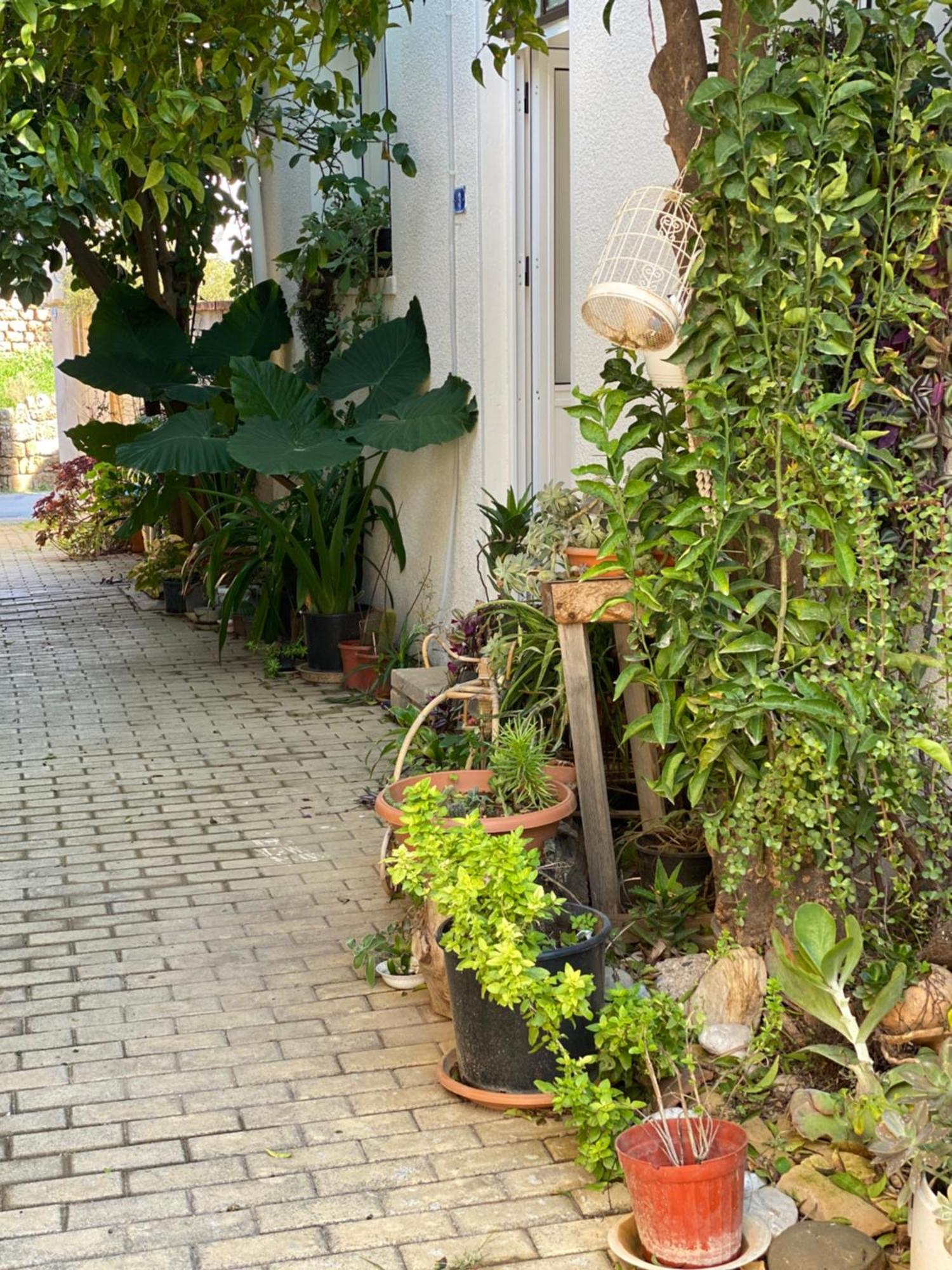 Grandmother'S House Famagusta  Exterior foto
