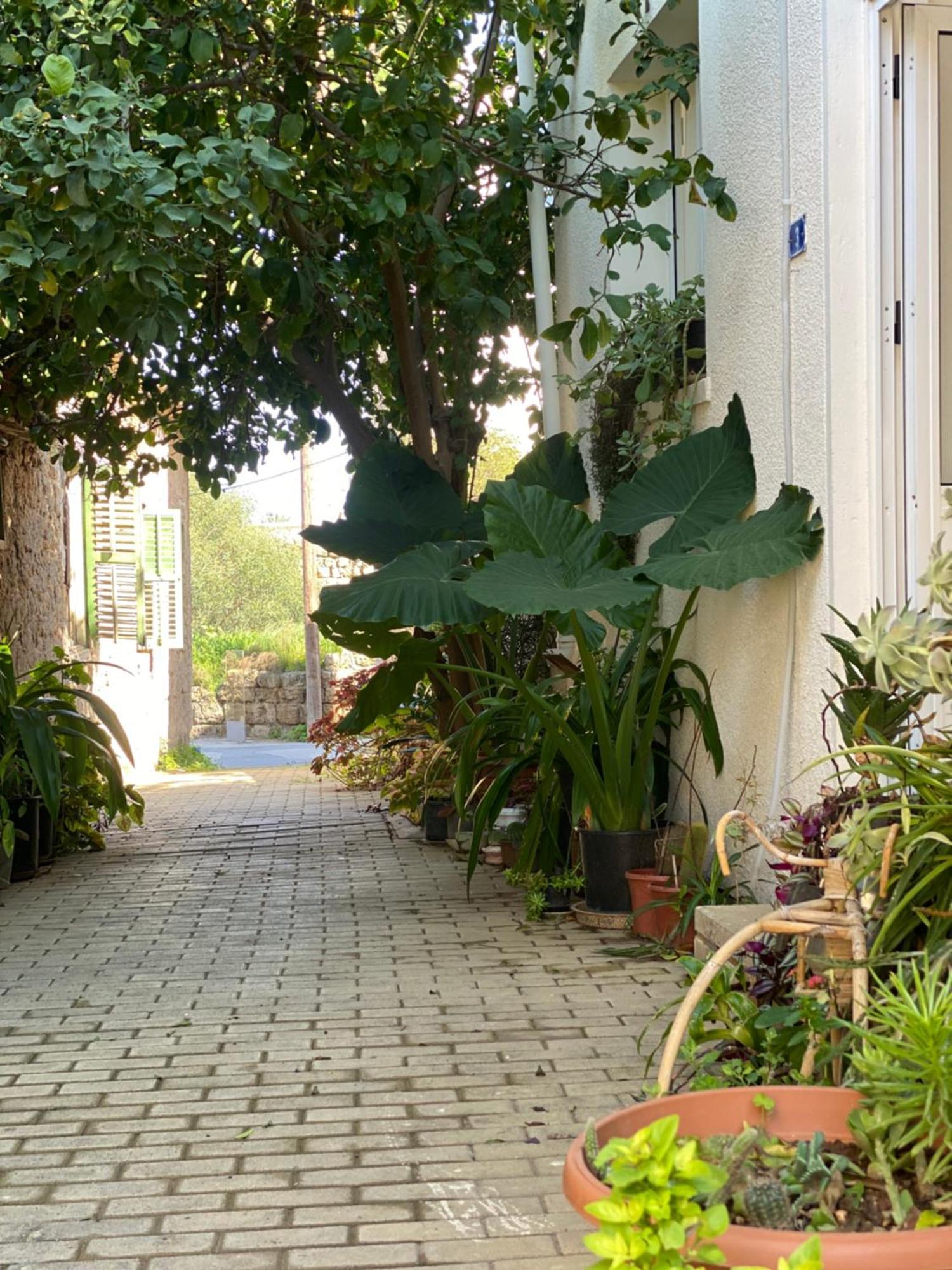 Grandmother'S House Famagusta  Exterior foto